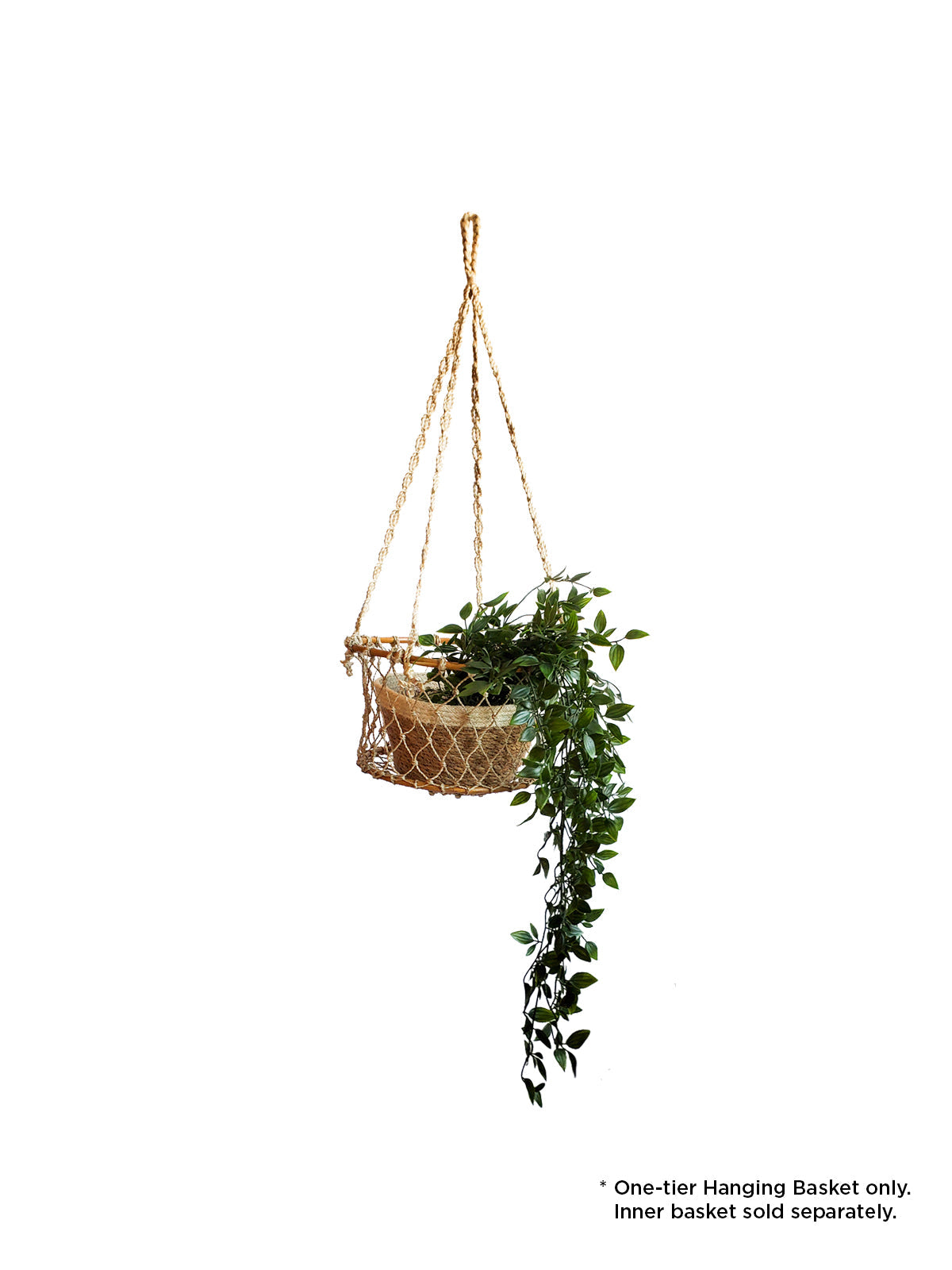 Jhuri Single Hanging Basket in - PLANT DECOR photo
