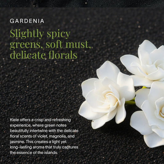 Ua Hawaii Kiele Gardenia Roller Perfume in - Roller Perfume photo