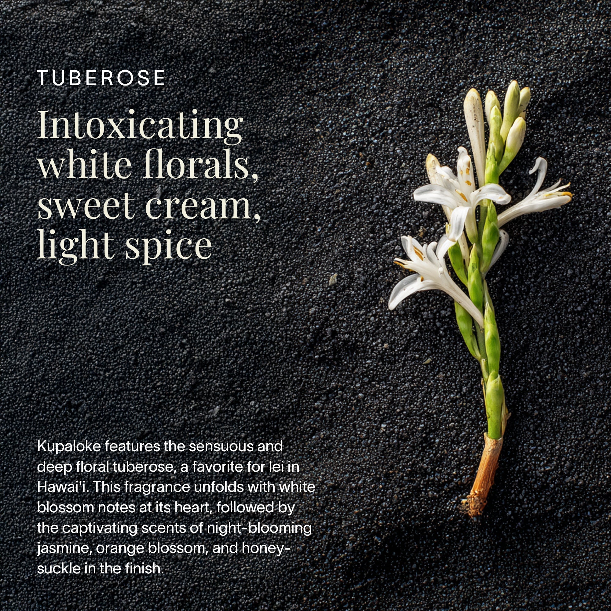 Ua Hawaii Kupaloke Tuberose Roller Perfume in - Roller Perfume photo
