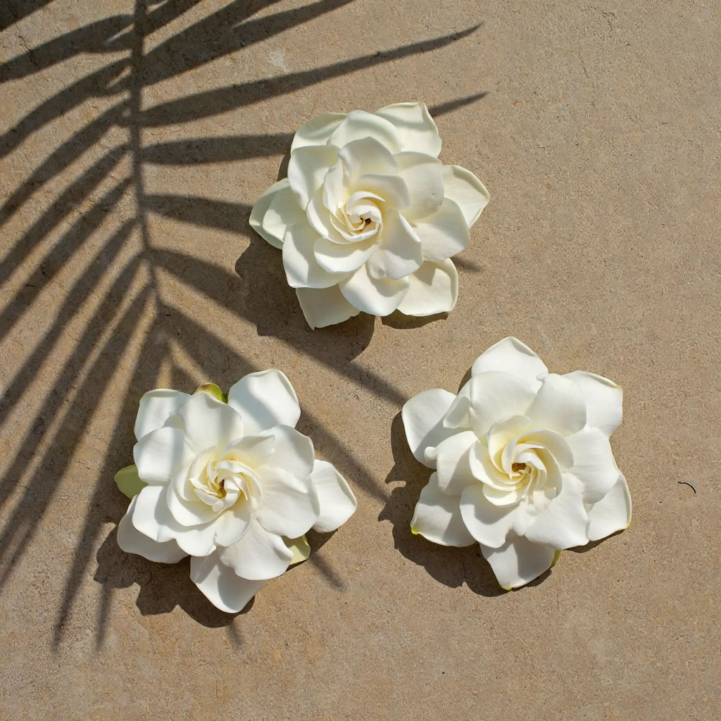 Kiele Gardenia Scented Candle | Ua Body Hawaii - SwagglyLife Home & Fashion