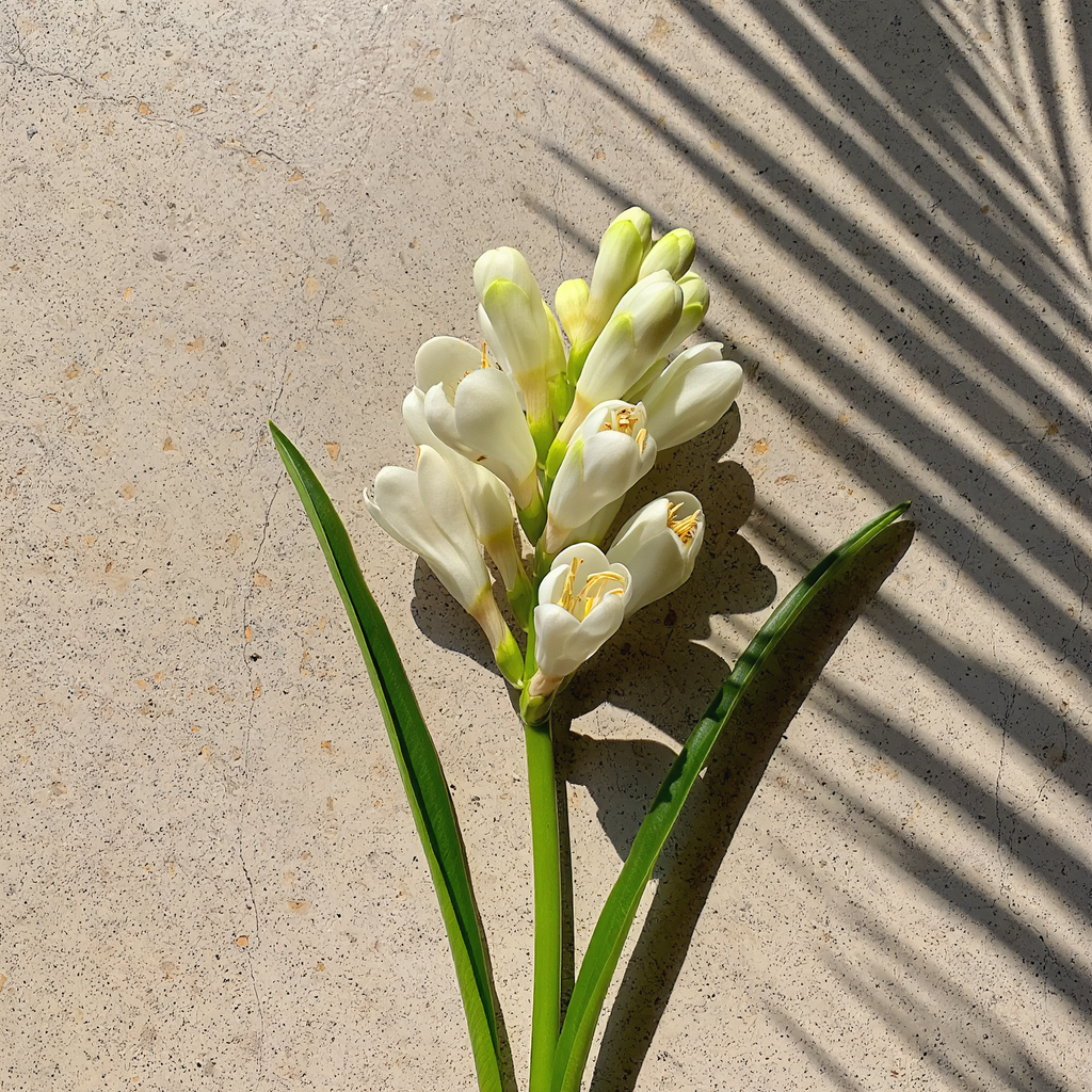 Ua Hawaii Kupaloke Tuberose Scented Candle in - Candle photo