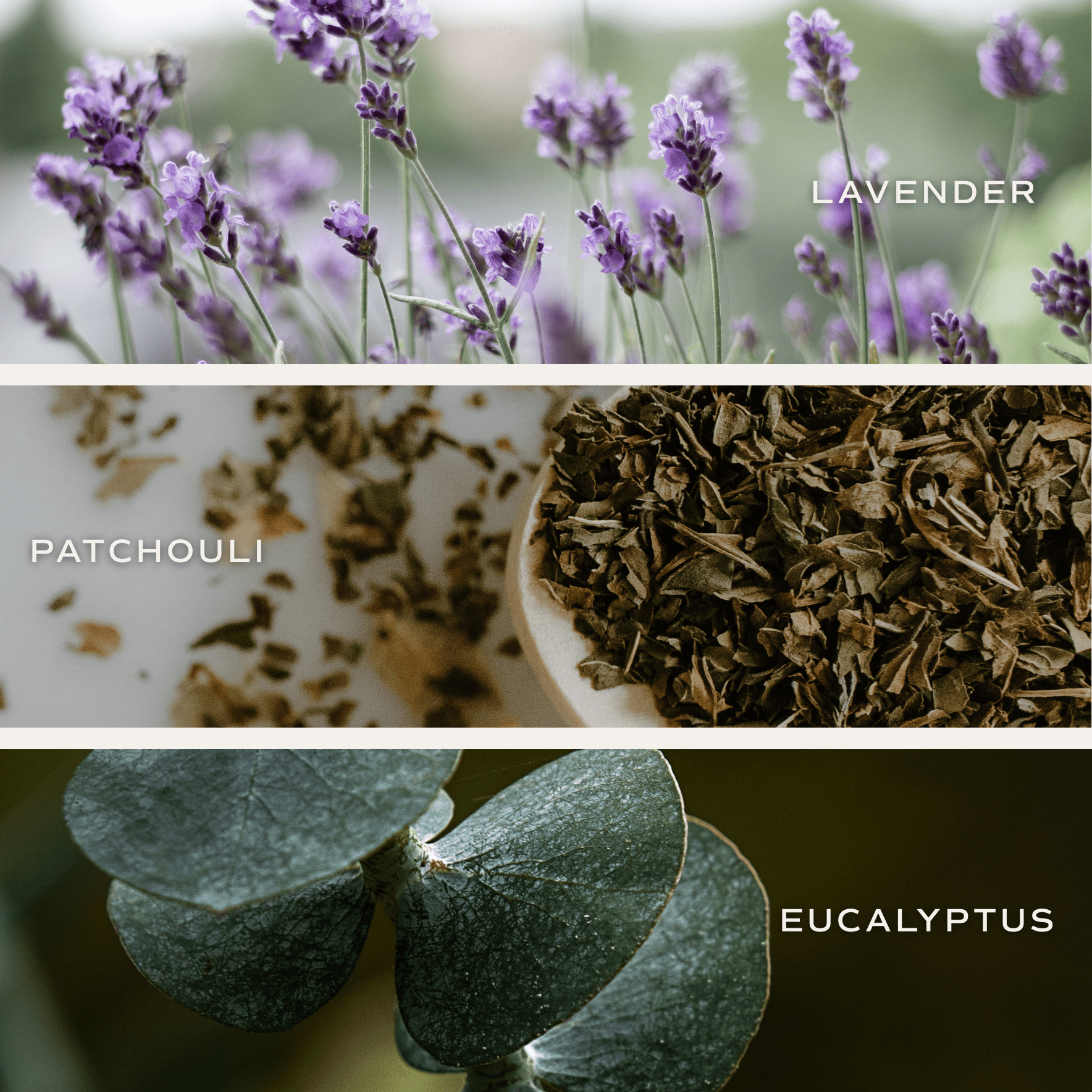 Calm and Comfort Clear Reed Diffuser (Self Care Lavender and Eucalyptus) in - Reed Diffusers photo