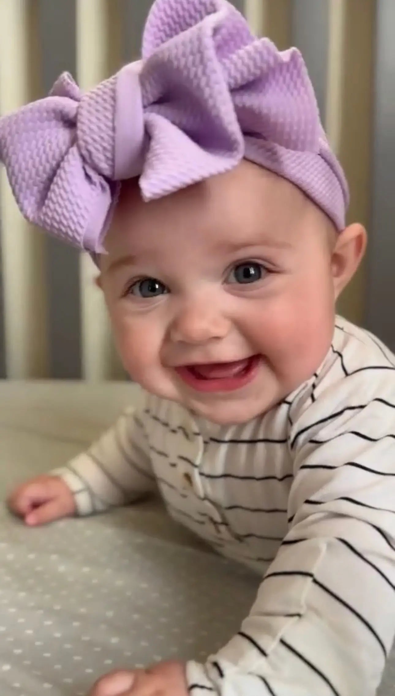 Baby Bows - Baby Hair Accessories in Lavender - Accessories photo