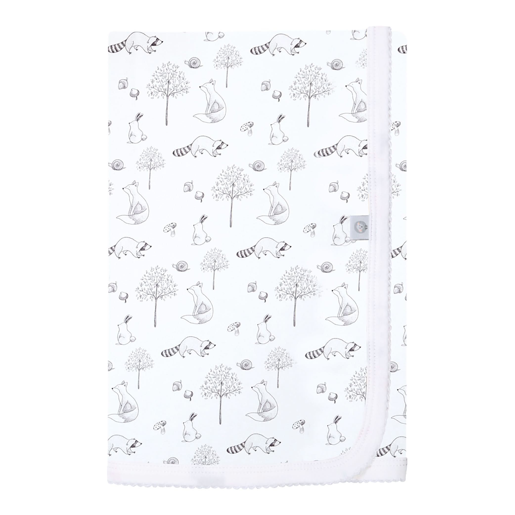 Gray Raccoon Baby Blanket