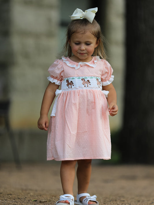 Western Horse Embroidery Girls Dress Lace Petals Collar Puff Sleeve -