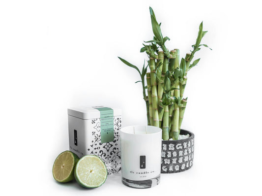 Meditation - Bamboo, Amber and Aloe Soy Candle in - Soy Candle photo