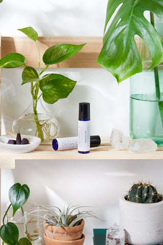 Organic Caffeinated Under Eye Serum / Under Eye Repair / Dark Circles / Puffiness / Fine Lines / Butter Me Up Organics / Caffeine in - Face photo