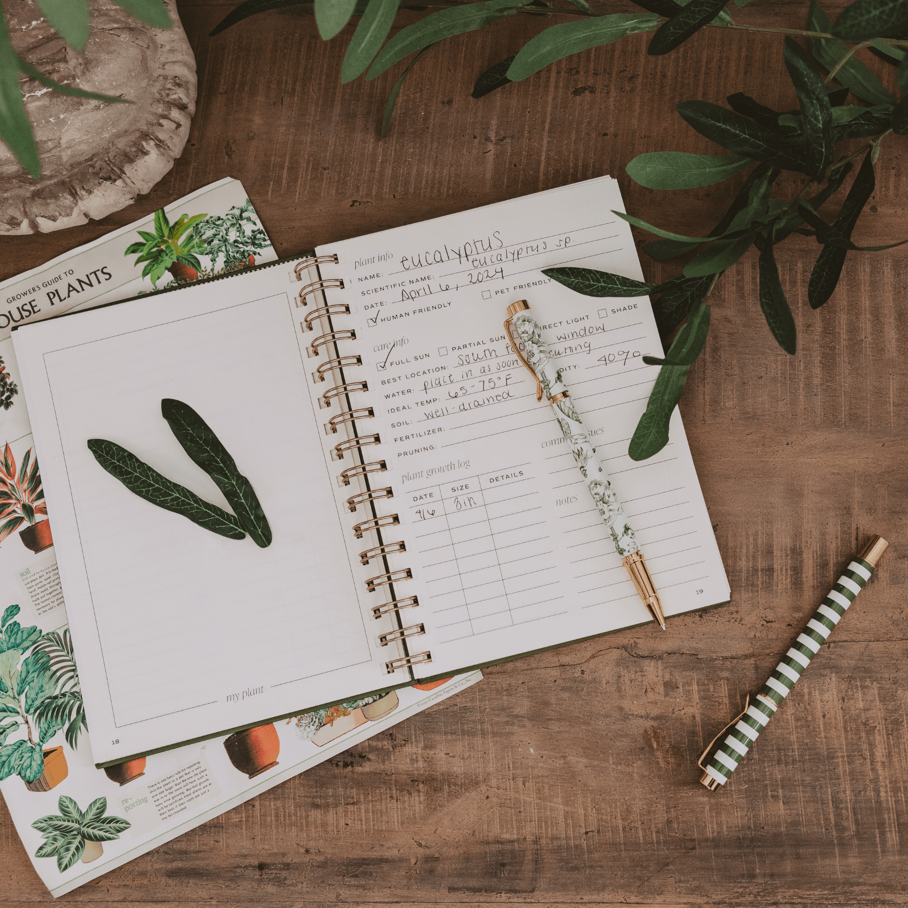 Plant Journal in - Notebooks photo
