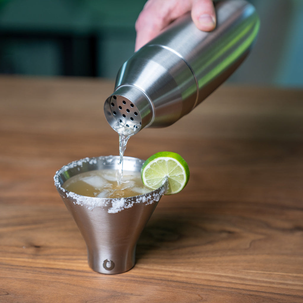 Snowfox Stainless Steel Cocktail Shaker and Martini Glass Set, Steel in - Cocktail shaker photo