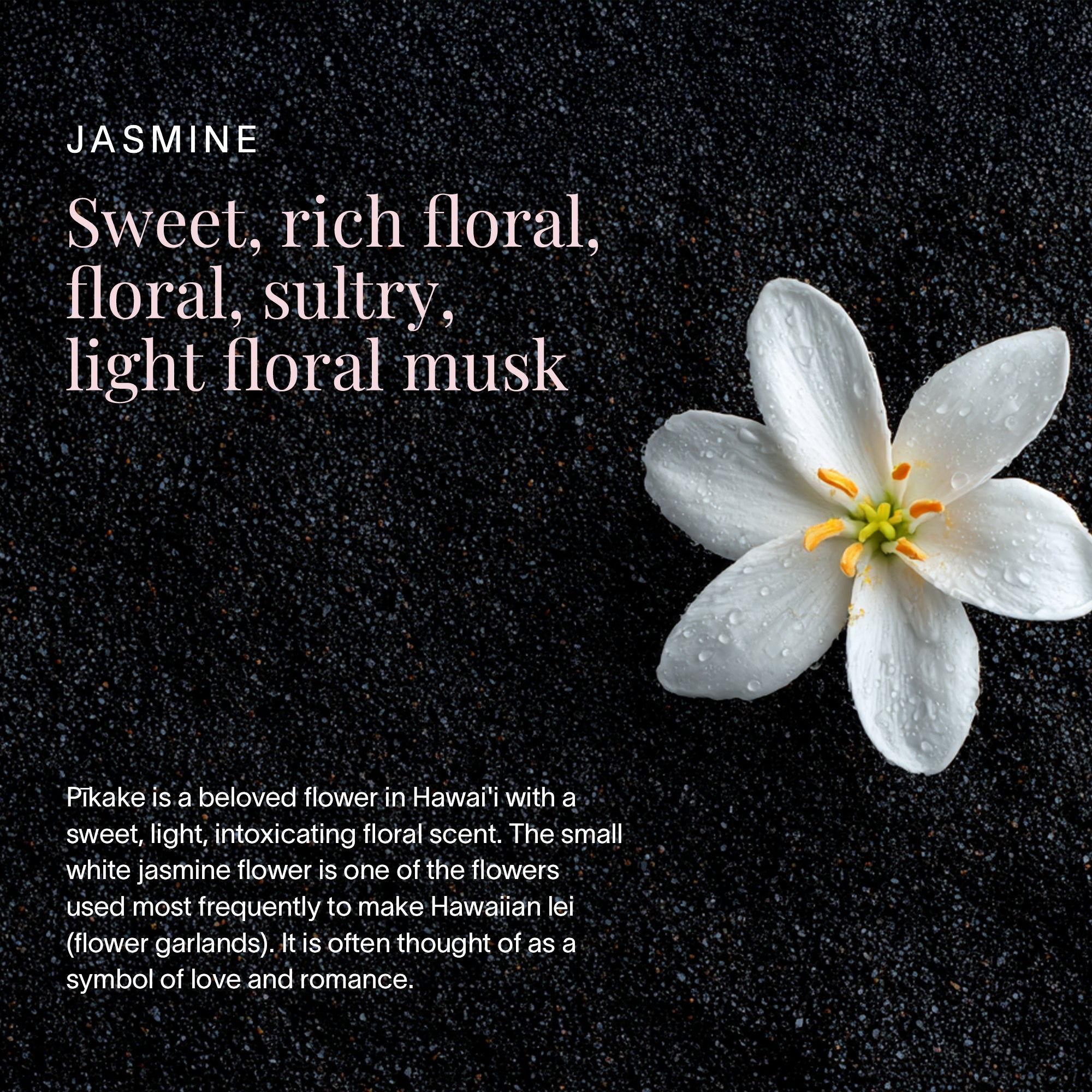 Ua Hawaii Pikake Body Jasmine Mist – SwagglyLife Home & Fashion