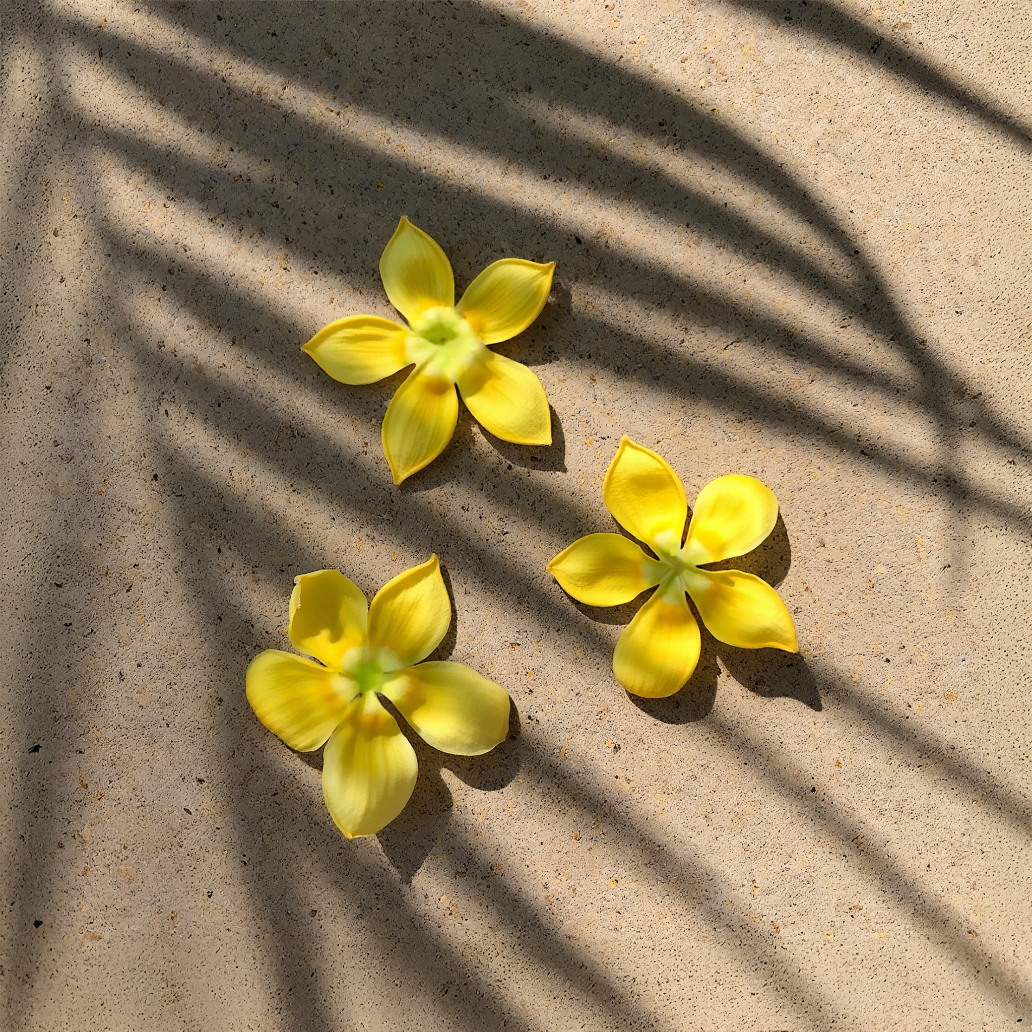 Ua Hawaii Pakalana Scented Candle in - Candle photo