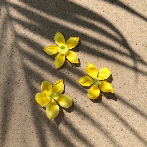 Ua Hawaii Pakalana Scented Candle in - Candle photo