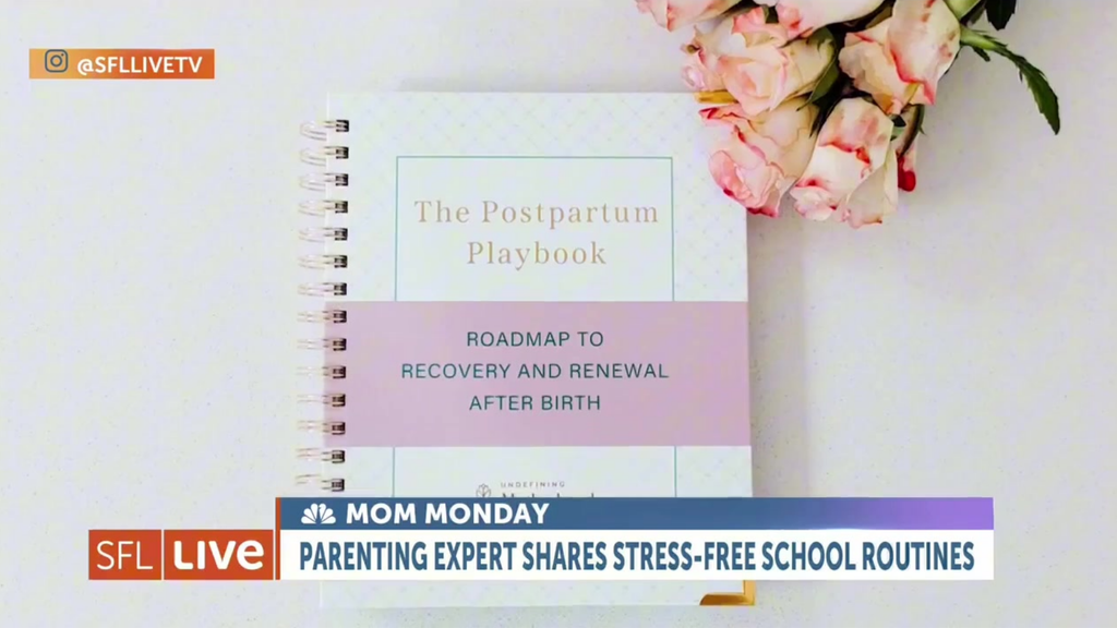 The Postpartum Playbook: Roadmap to Recovery & Renewal After Birth in - Postpartum Book photo