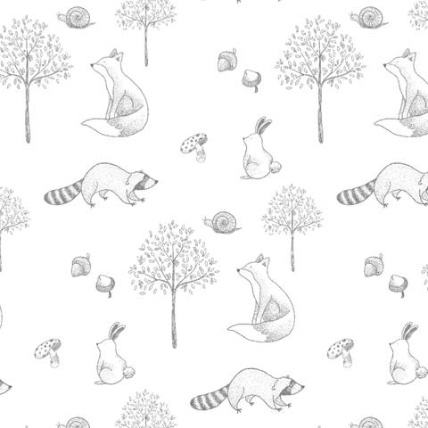 Gray Raccoon Baby Blanket