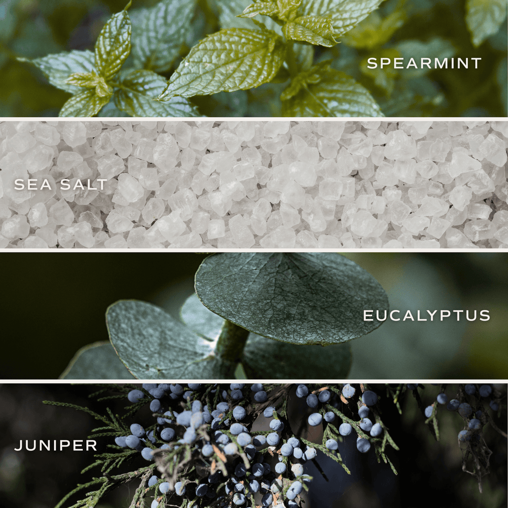 Restore and Renew White Eucalyptus 4.6 oz Bath Bomb in - Bath Bomb photo