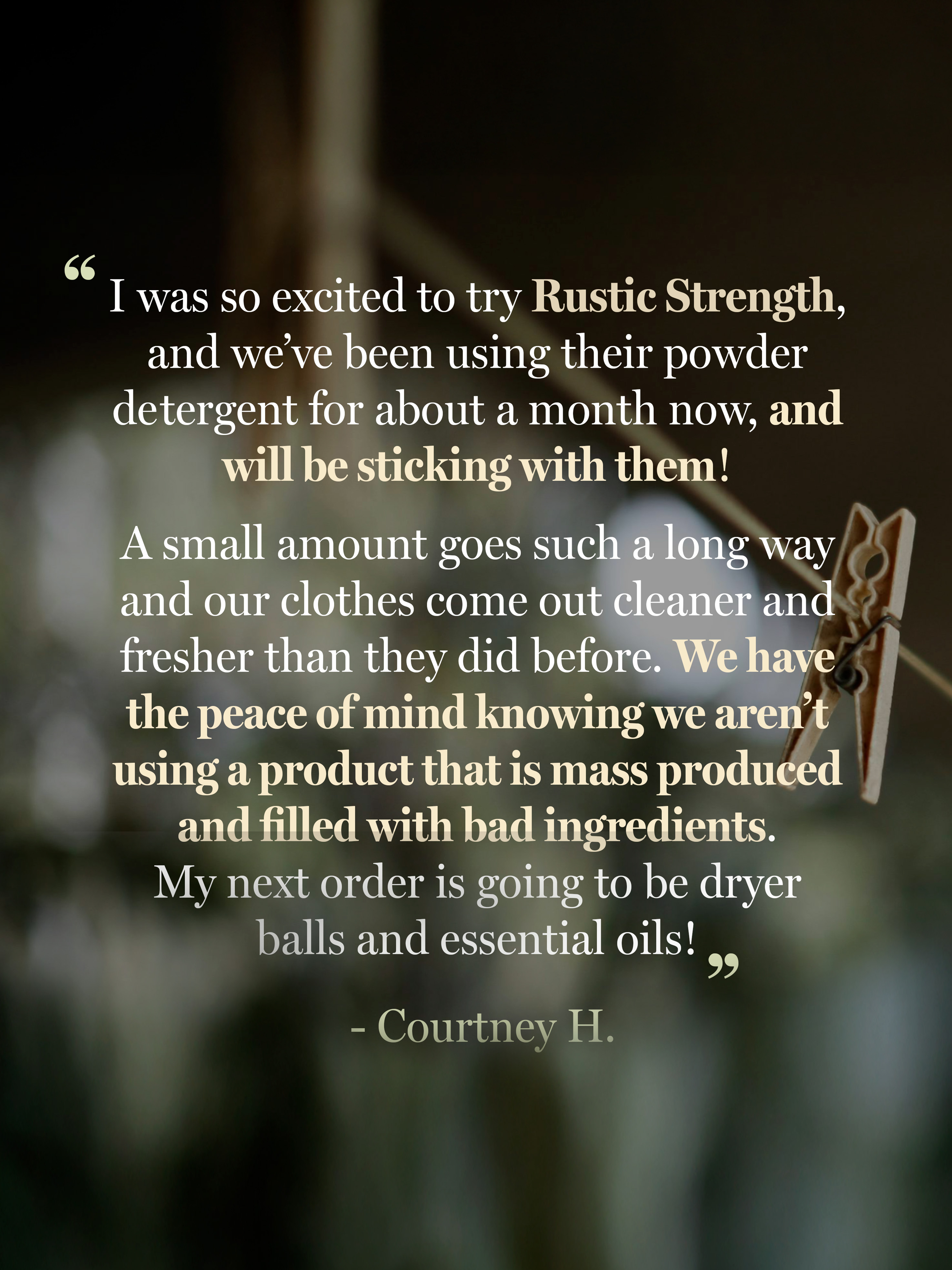 Rustic Strength Powder Laundry Detergent