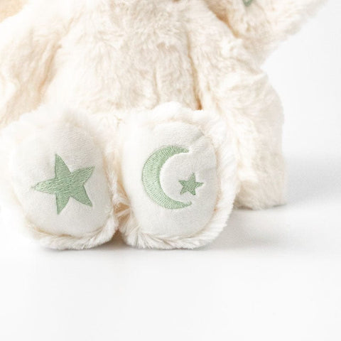 Slumberkins Sprite Kin Stuffed Animal & Hardcover Book