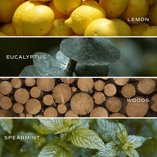 Stress Relief Soy Candle - Blue Tinted Glass Jar - 12 oz in - Candles photo