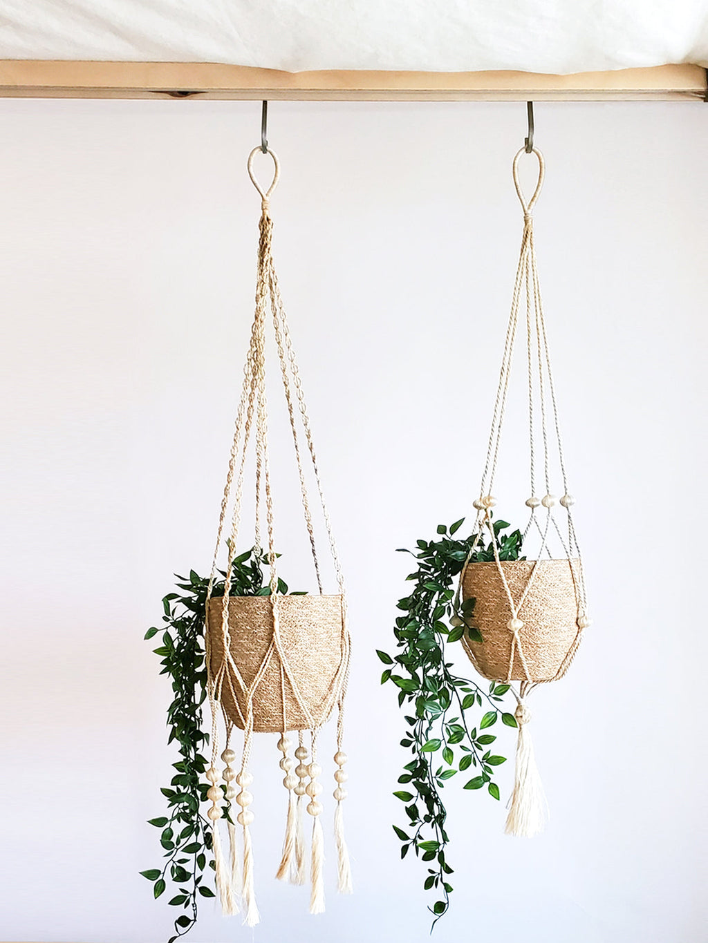 Plant Hanger - Fiora in - PLANT DECOR photo