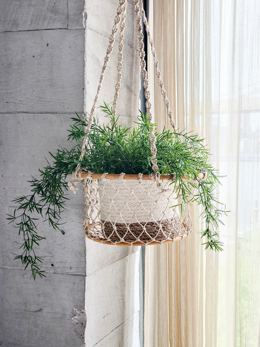Jhuri Single Hanging Basket in - PLANT DECOR photo