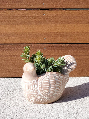 Terracotta Pot - Turtle Dove in - PLANT DECOR photo