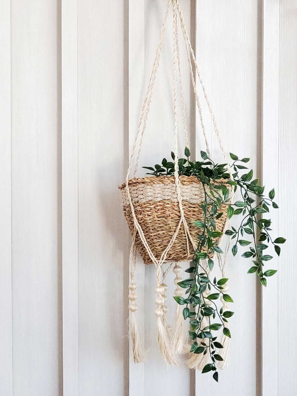 Plant Hanger - Fiora in - PLANT DECOR photo
