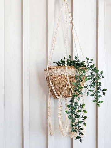 Plant Hanger - Fiora in - PLANT DECOR photo