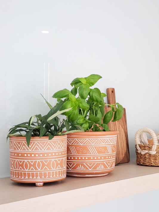 Hand Etched Terracotta Pot - Small in - Pots & Planters photo