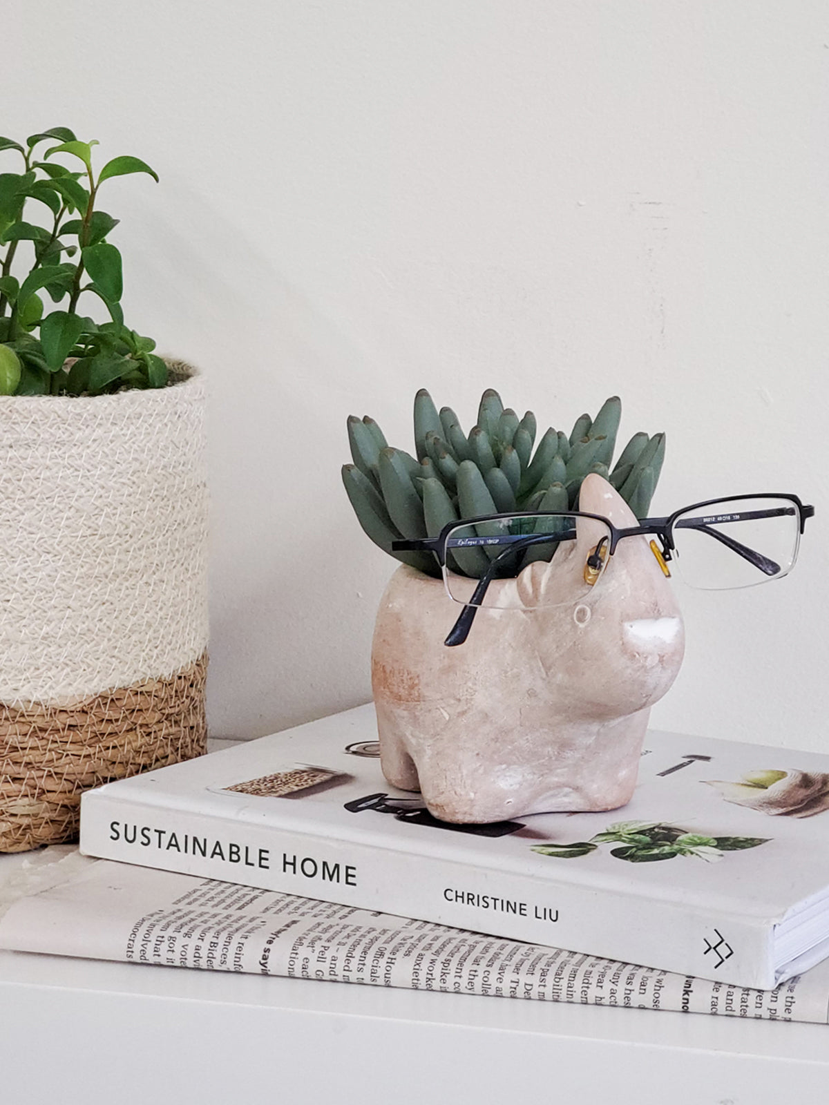 Terracotta Pot - Rhino in - photo