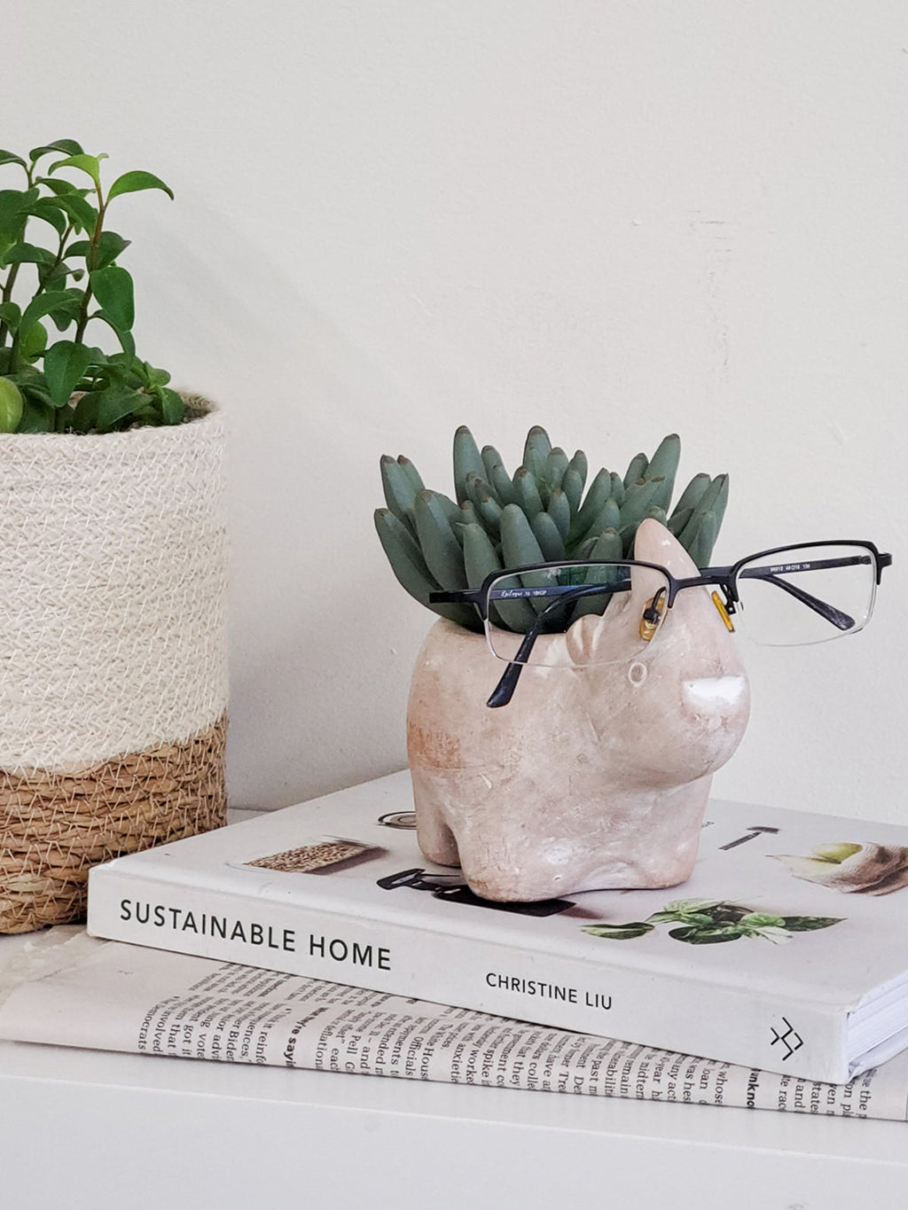 Terracotta Pot - Rhino in - photo