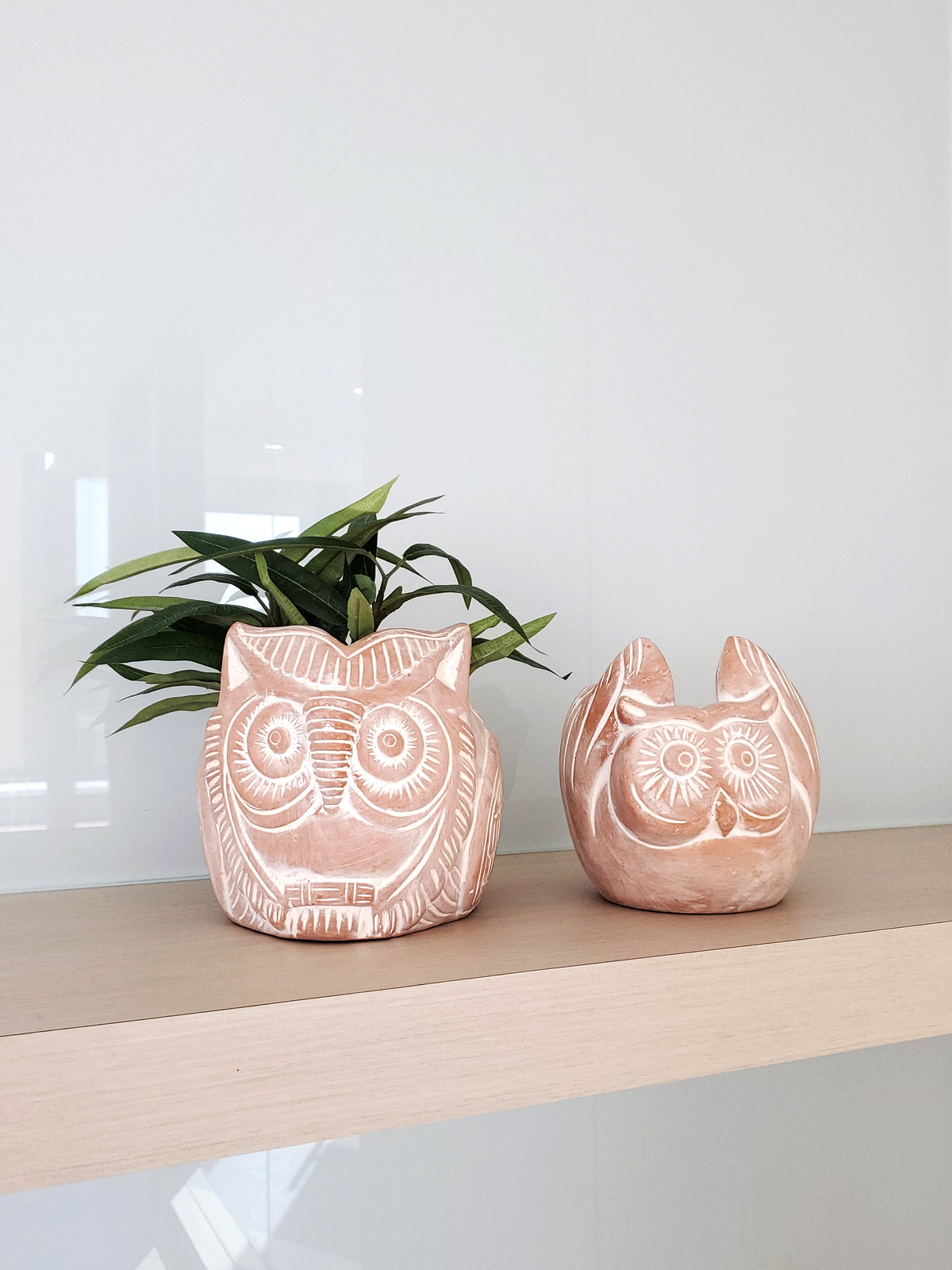 Terracotta Pot - Horned Owl in - PLANT DECOR photo