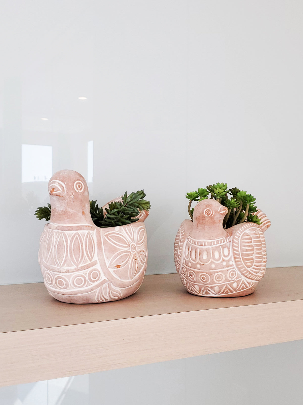 Terracotta Pot - Spotted Dove in - PLANT DECOR photo