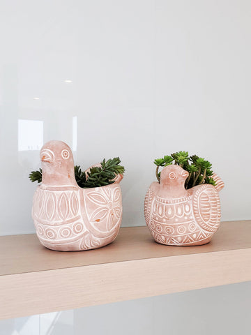 Terracotta Pot - Spotted Dove in - PLANT DECOR photo