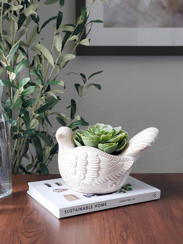 Terracotta Pot - Turtle Dove in - PLANT DECOR photo