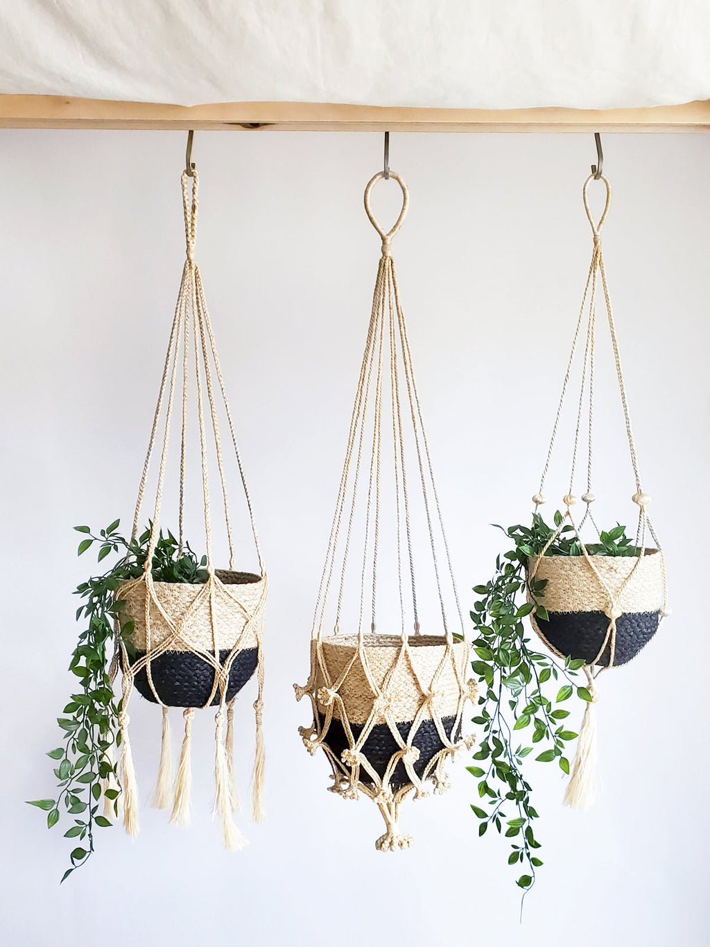 Plant Hanger - Shuly in - PLANT DECOR photo