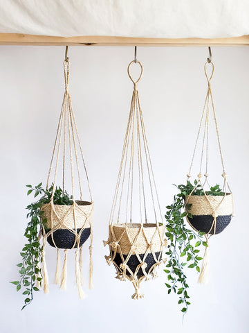 Plant Hanger - Shuly in - PLANT DECOR photo