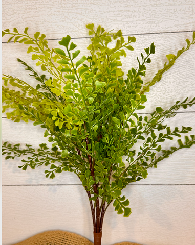 Real Touch Artificial Maidenhair Fern- Bundle of 4 in - Florals photo