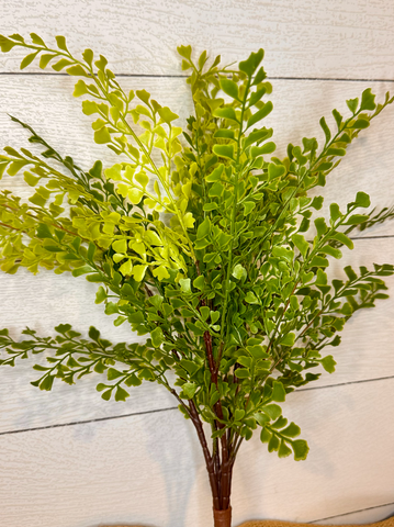Real Touch Artificial Maidenhair Fern- Bundle of 4 in - Florals photo