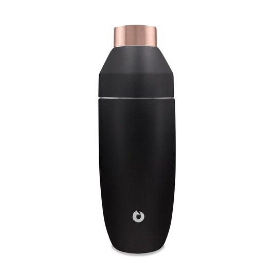 Snowfox Stainless Steel Cocktail Shaker, Black in Black - Cocktail shaker photo