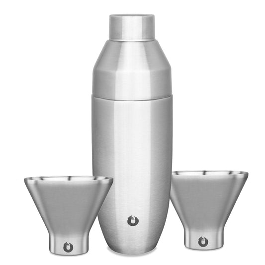 Stainless Steel Cocktail Shaker and Martini Glass Barware Set, Steel in Steel - Barware photo
