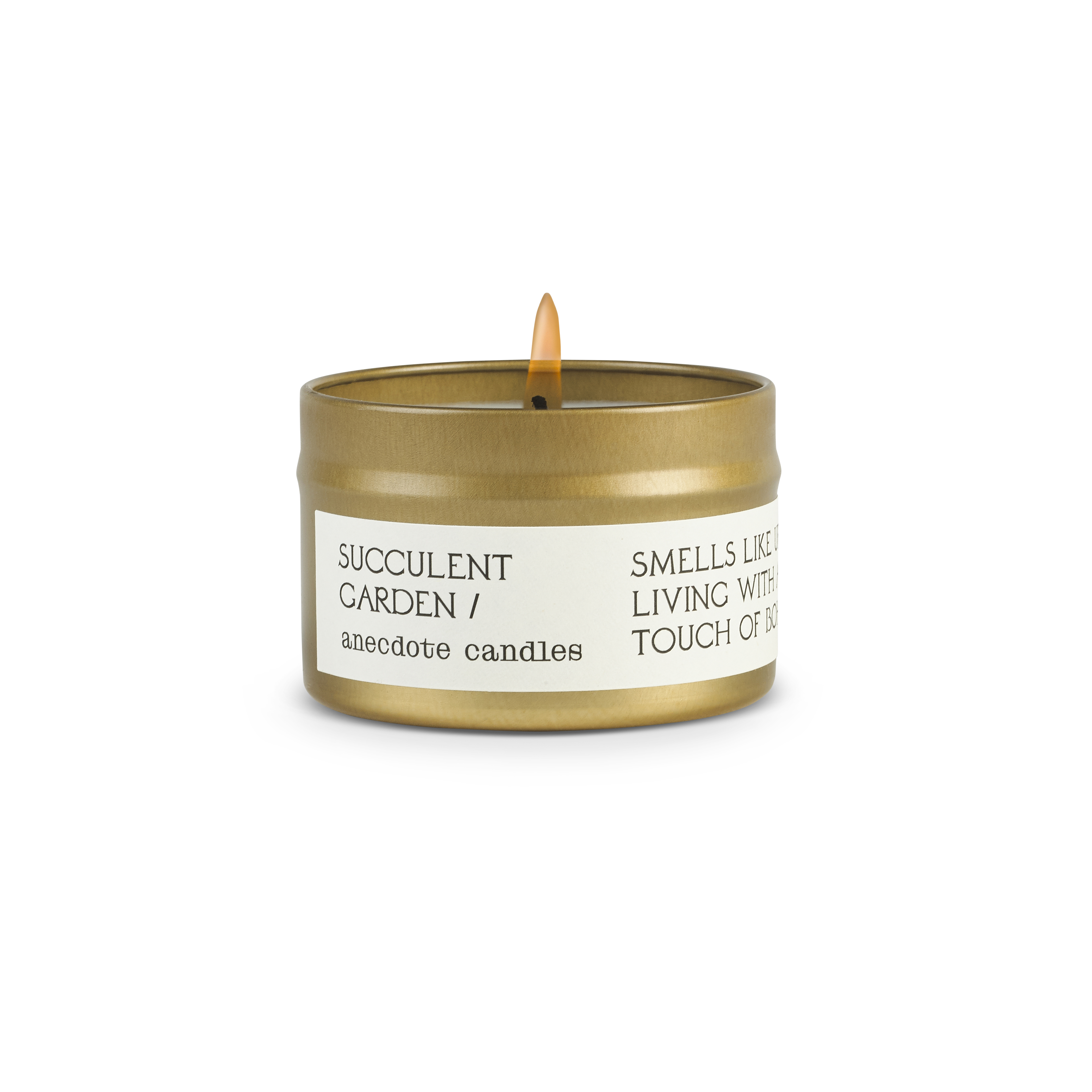 Succulent Garden in - candles photo