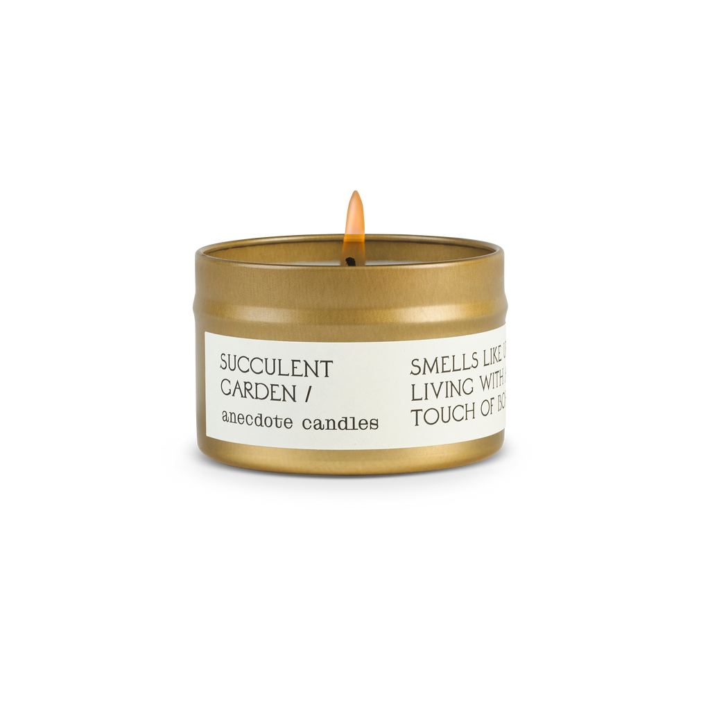 Succulent Garden in - candles photo
