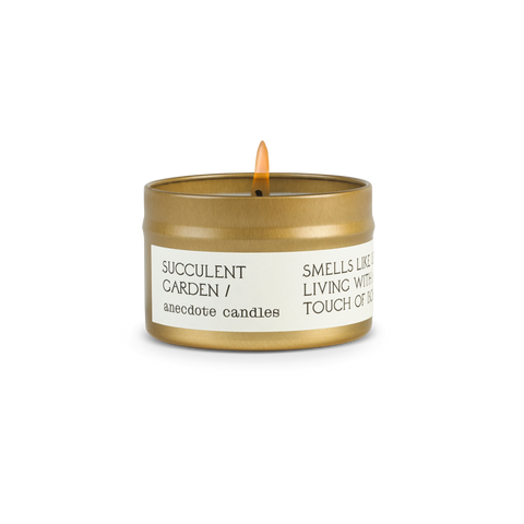 Succulent Garden in - candles photo
