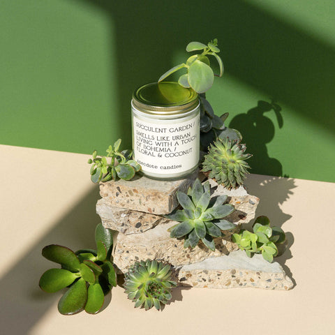 Succulent Garden in - candles photo