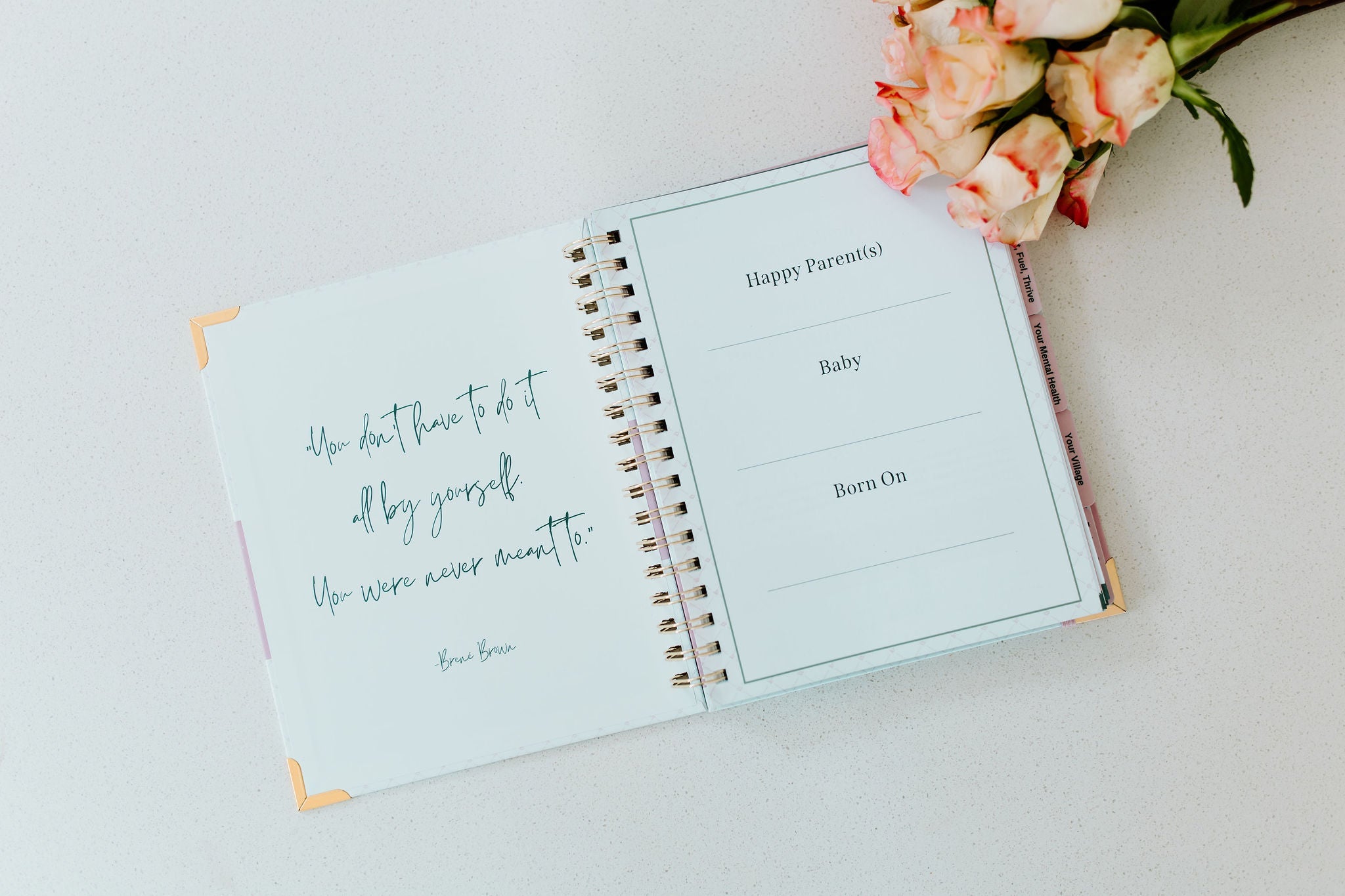 The Postpartum Playbook: Roadmap to Recovery & Renewal After Birth in - Postpartum Book photo