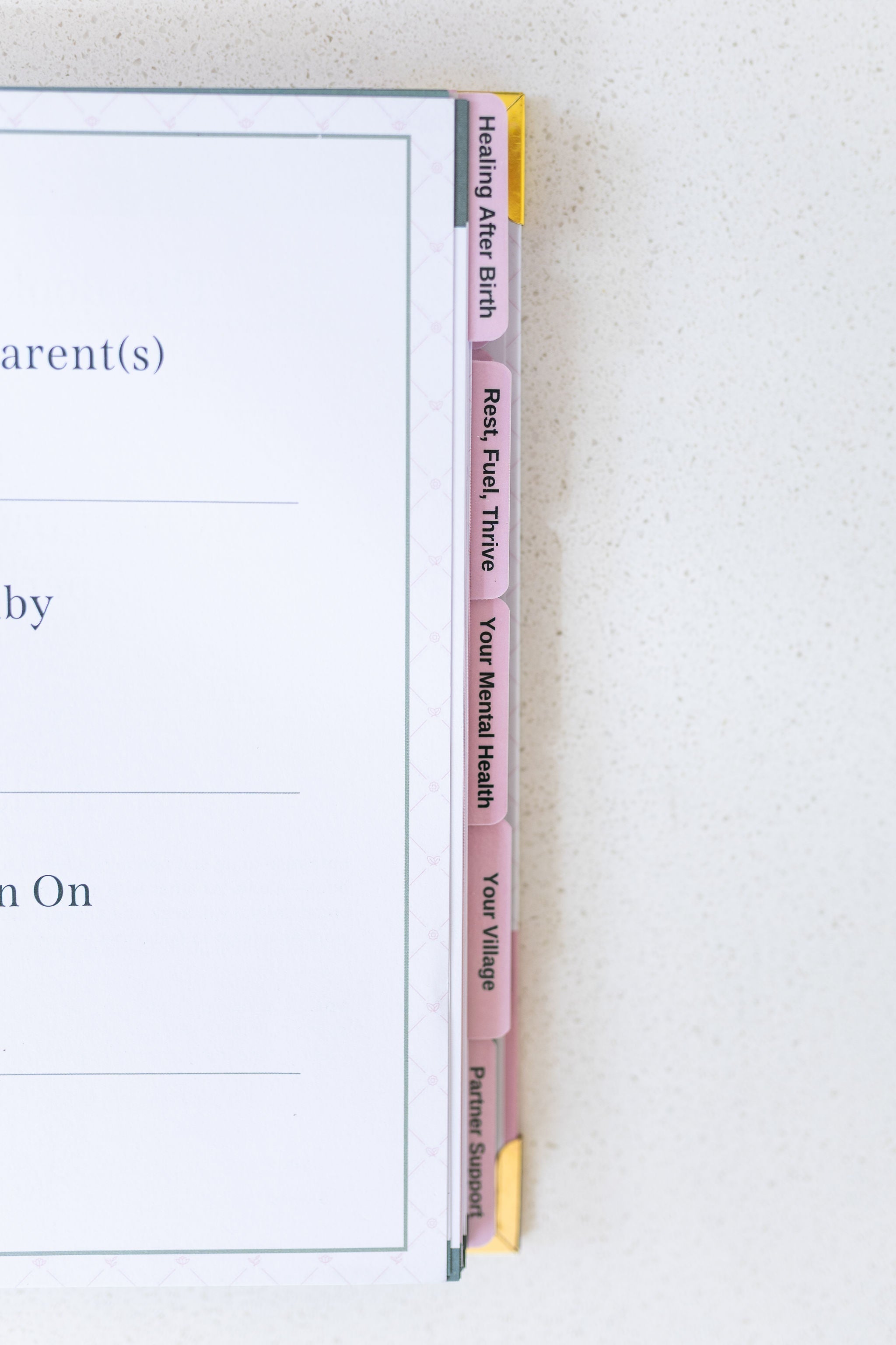 The Postpartum Playbook: Roadmap to Recovery & Renewal After Birth in - Postpartum Book photo