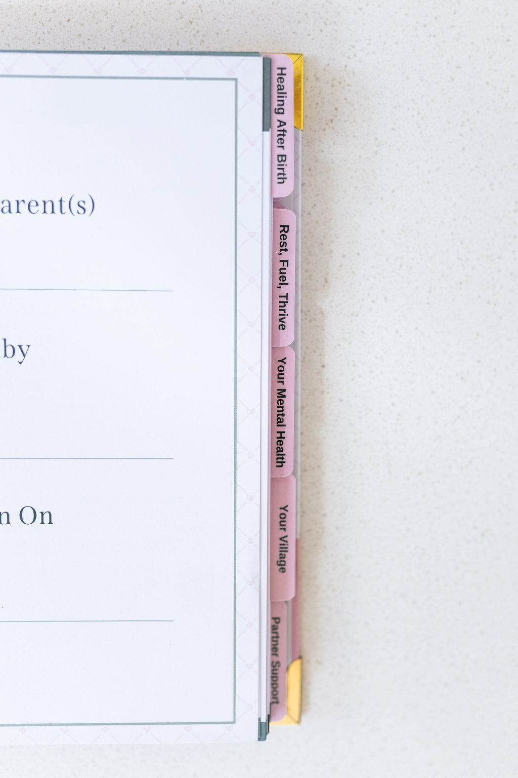 The Postpartum Playbook: Roadmap to Recovery & Renewal After Birth in - Postpartum Book photo