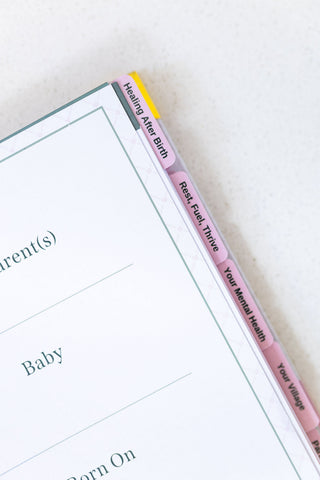 The Postpartum Playbook: Roadmap to Recovery & Renewal After Birth in - Postpartum Book photo