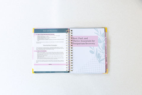 The Postpartum Playbook: Roadmap to Recovery & Renewal After Birth in - Postpartum Book photo