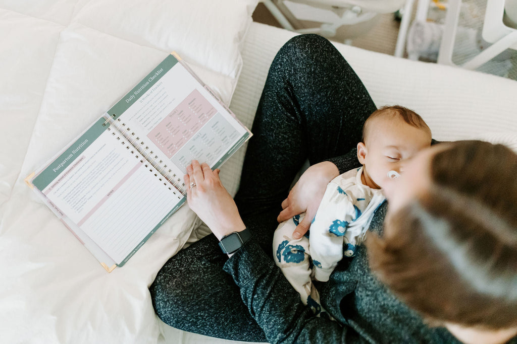 The Postpartum Playbook: Roadmap to Recovery & Renewal After Birth in - Postpartum Book photo